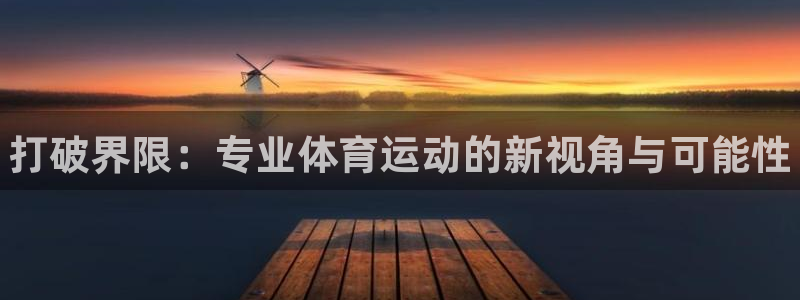 3377体育官方正版app集团简介