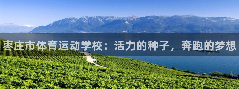 3377体育官方正版app娱乐首页官网下载