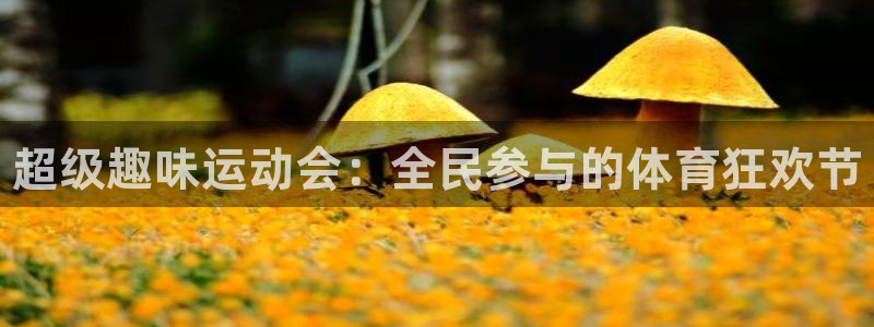 3377体育官网下载招商电话是多少：超级趣味运动会：全民参与