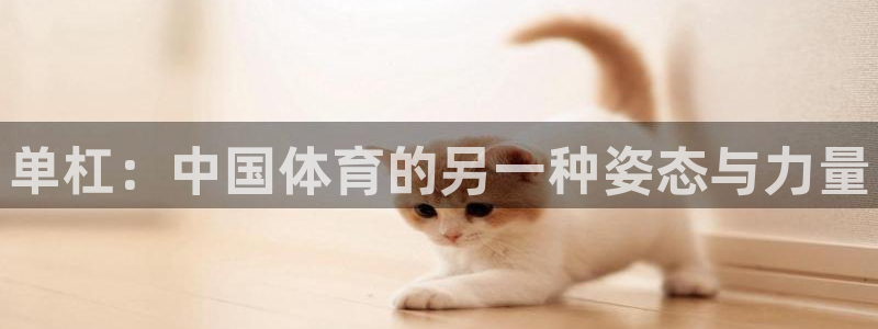 3377体育官方平台体育：单杠：中国体育的另一种姿态与力量
