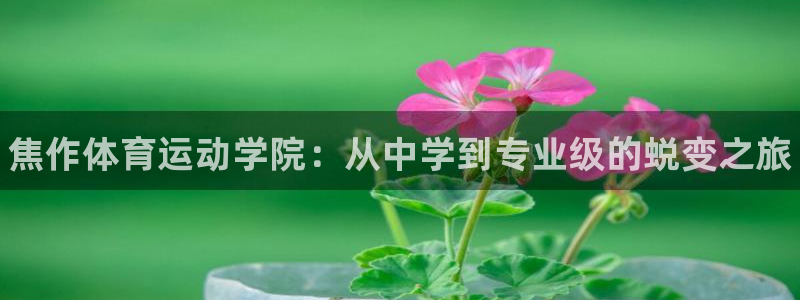 3377体育官网下载平台假的吗是真的吗吗：焦作体育运动学院：