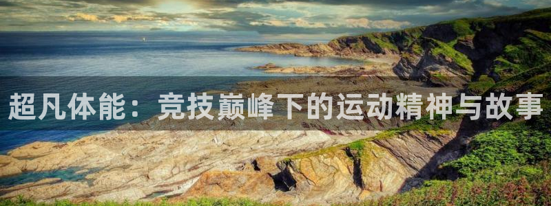 3377体育官网下载招商