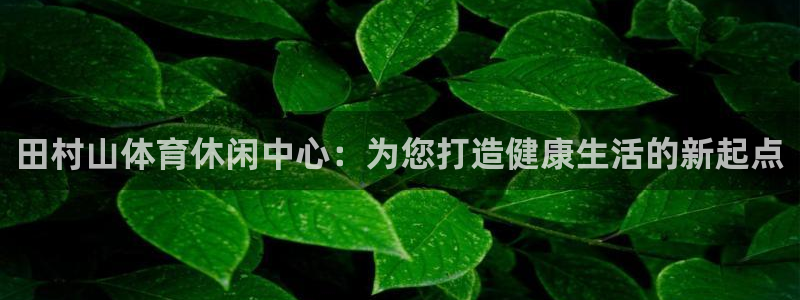 3377体育官网下载是干嘛的公司：田村山体育休闲中心：为您打