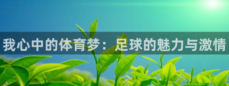 3377体育官网下载软件：我心中的体育梦：足球的魅力与激情