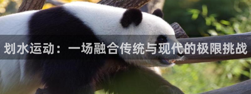 3377体育官方正版app新能源