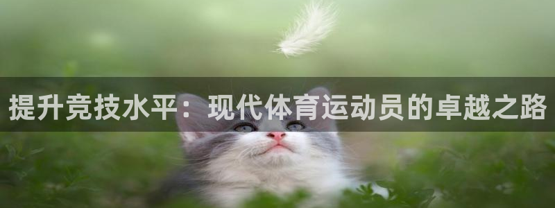 3377体育官网下载招商电话号码查询是多少：提升竞技