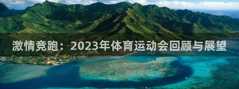 3377体育官方正版app新能源：激情竞跑：2023