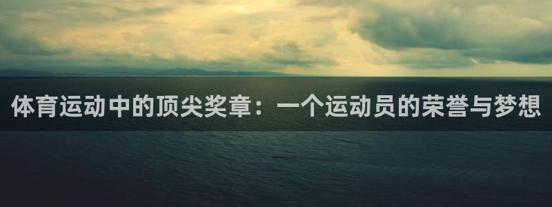 3377体育官方正版app娱乐首页网站大全