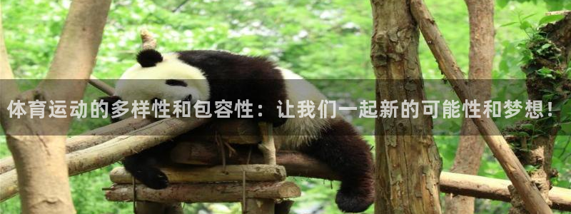 3377体育官网下载招商：体育运动的多样性和包容性：让我们一