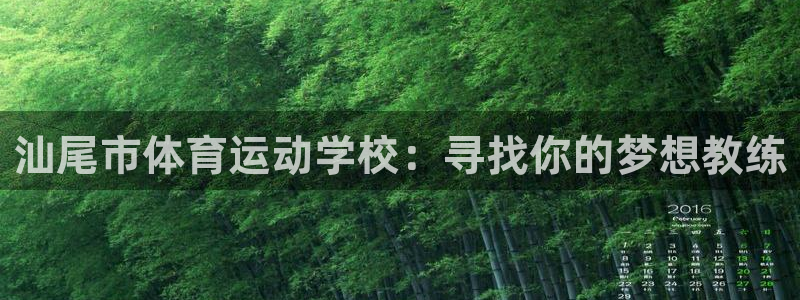 3377体育官方正版app五金厂：汕尾市体育运动学校：寻找你