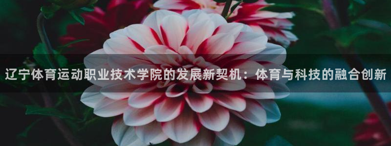 3377体育官网下载开户：辽宁体育运动职业技术学院的