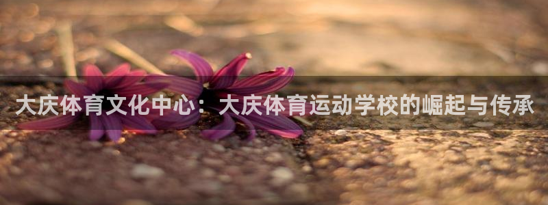 3377体育官方正版app五金厂：大庆体育文化中心：大庆体育