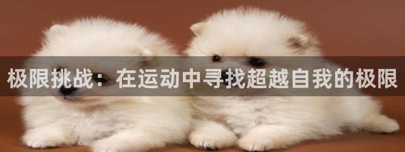 3377体育官网下载招商电话是多少：极限挑战：在运动中寻找超