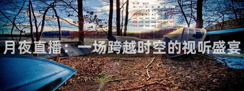 178足球免费直播五大：月夜直播：一场跨越时空的视听盛宴