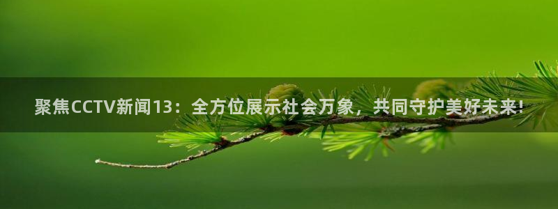 178足球直播体育：聚焦CCTV新闻13：全方位展示社会万象，共同守护美好未来!