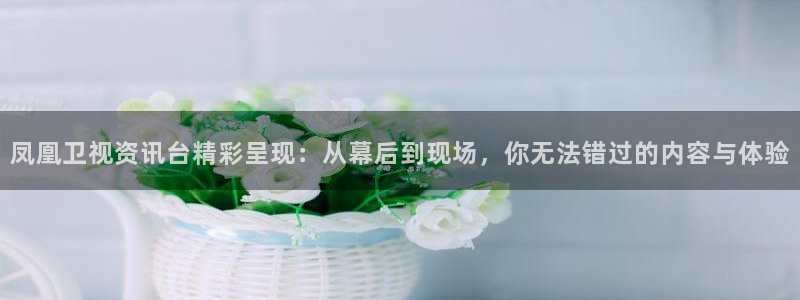 178看球直播app：凤凰卫视资讯台精彩呈现：从幕后到现场，你无法错过的内容与体验