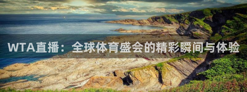 直播足球178：WTA直播：全球体育盛会的精彩瞬间与体验
