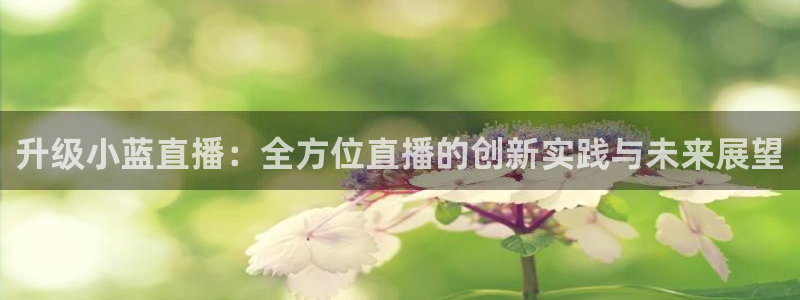 178篮球直播在线免费观看：升级小蓝直播：全方位直播的创新实践与未来展望
