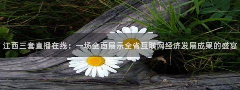 178体育在线直播视频：江西三套直播在线：一场全面展示全省互联网经济发展成果的盛宴