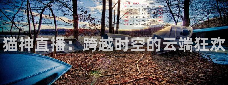 178篮球直播免费观看：猫神直播：跨越时空的云端狂欢